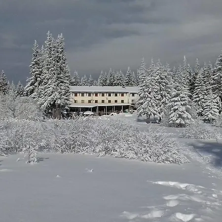 Lodge Zvezditsa Hut Sofia