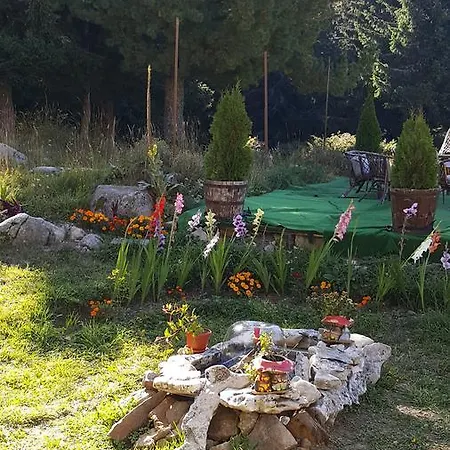 Zvezditsa Hut Lodge *